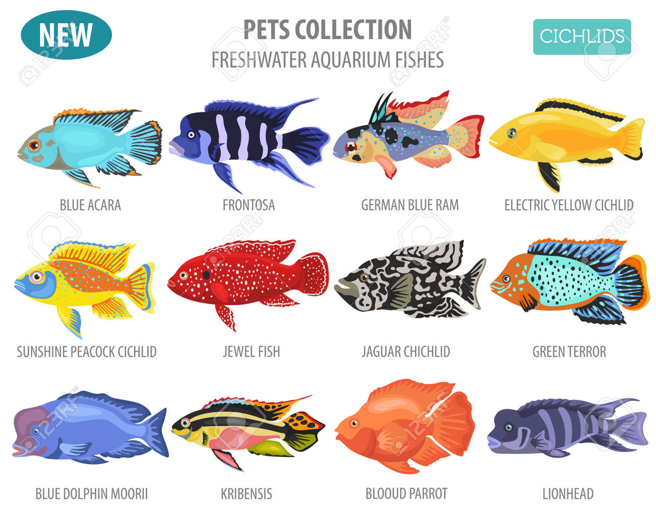 Freshwater Aquarium Fishes Breeds Icon Set Flat Style Isolated freshwater aquarium fishes breeds icon set flat style isolated