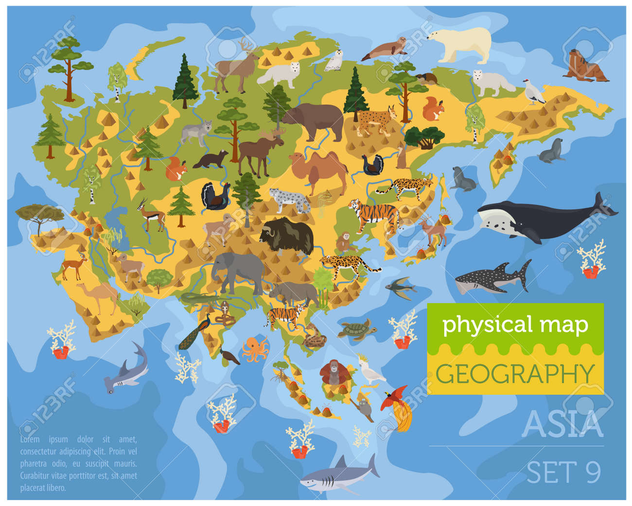 flat asian flora and fauna map constructor elements animals birds and sea life isolated