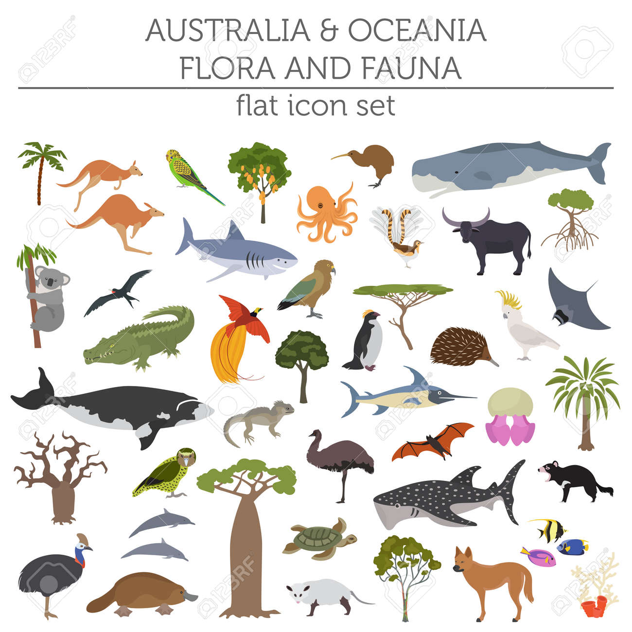 オーストラリアとオセアニアの植物や動物 平らな要素 動物 鳥 海の生活の大きなセット あなたの地理のインフォ グラフィック コレクションを構築します ベクトル図 のイラスト素材 ベクタ Image