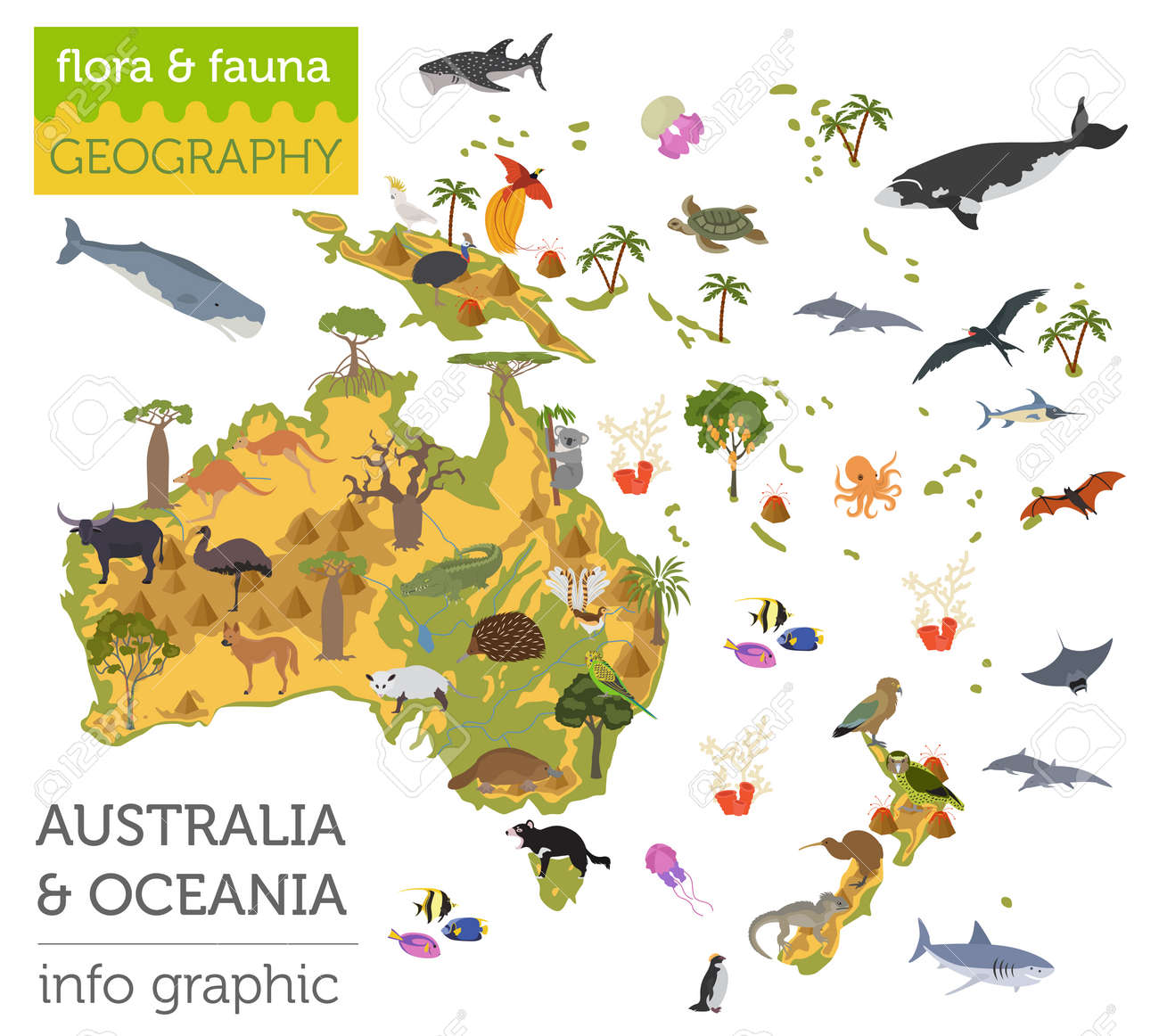 Unduh 50 Koleksi Gambar Flora Dan Fauna Di Australia Paling Bagus Gratis