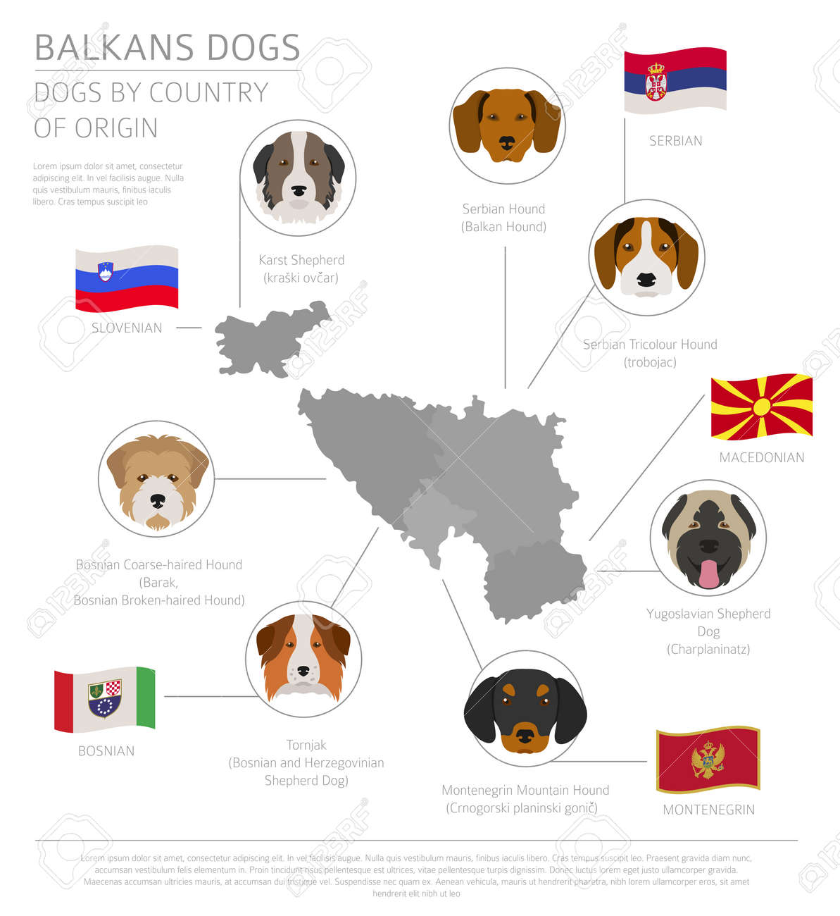 serbian dog breeds