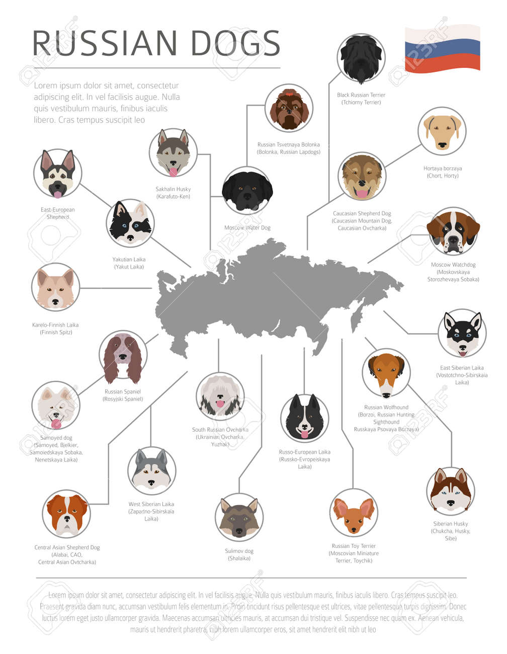 russian dog breeds