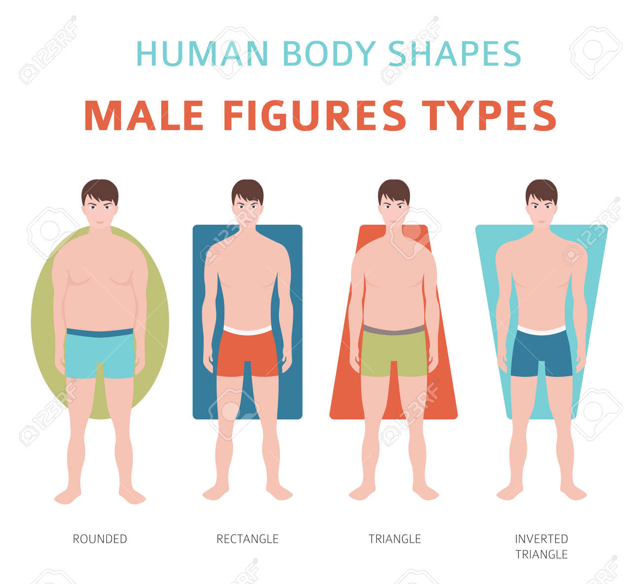 human body shapes male figures types set vector illustration men body types