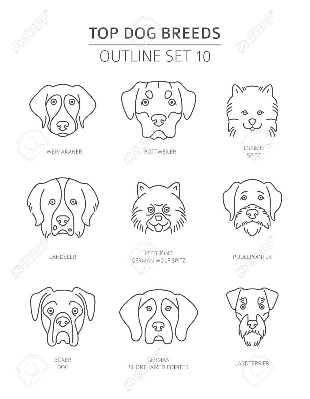 Top Dog Breeds Pet Outline Collection Vector Illustration