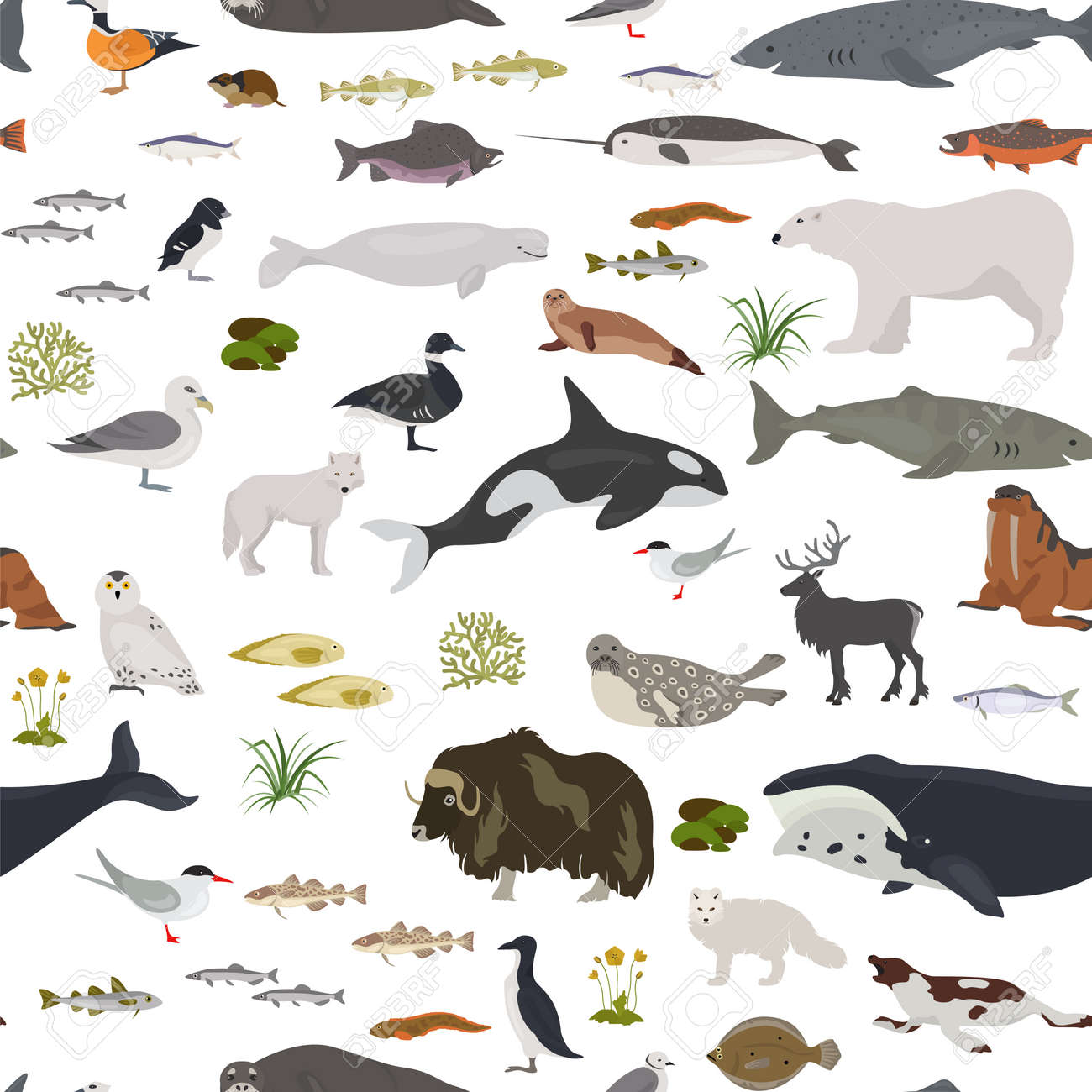 Ice Sheet And Polar Desert Biome Terrestrial Ecosystem World Royalty Free Cliparts Vectors And Stock Illustration Image 125822002