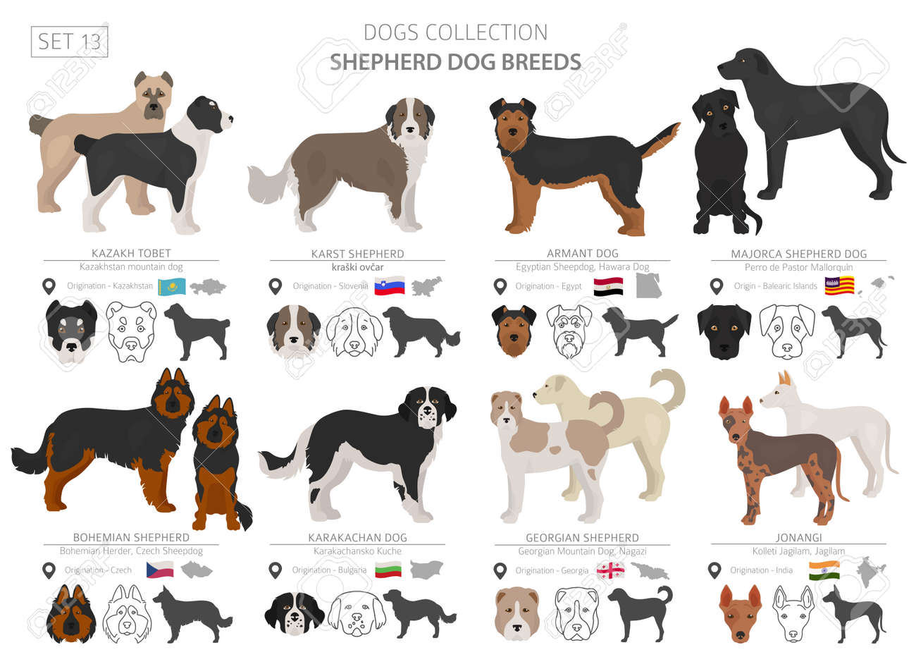 different breeds of herding dogs