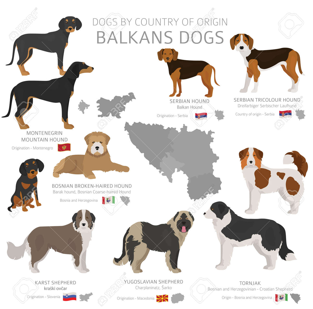 serbian dog breeds