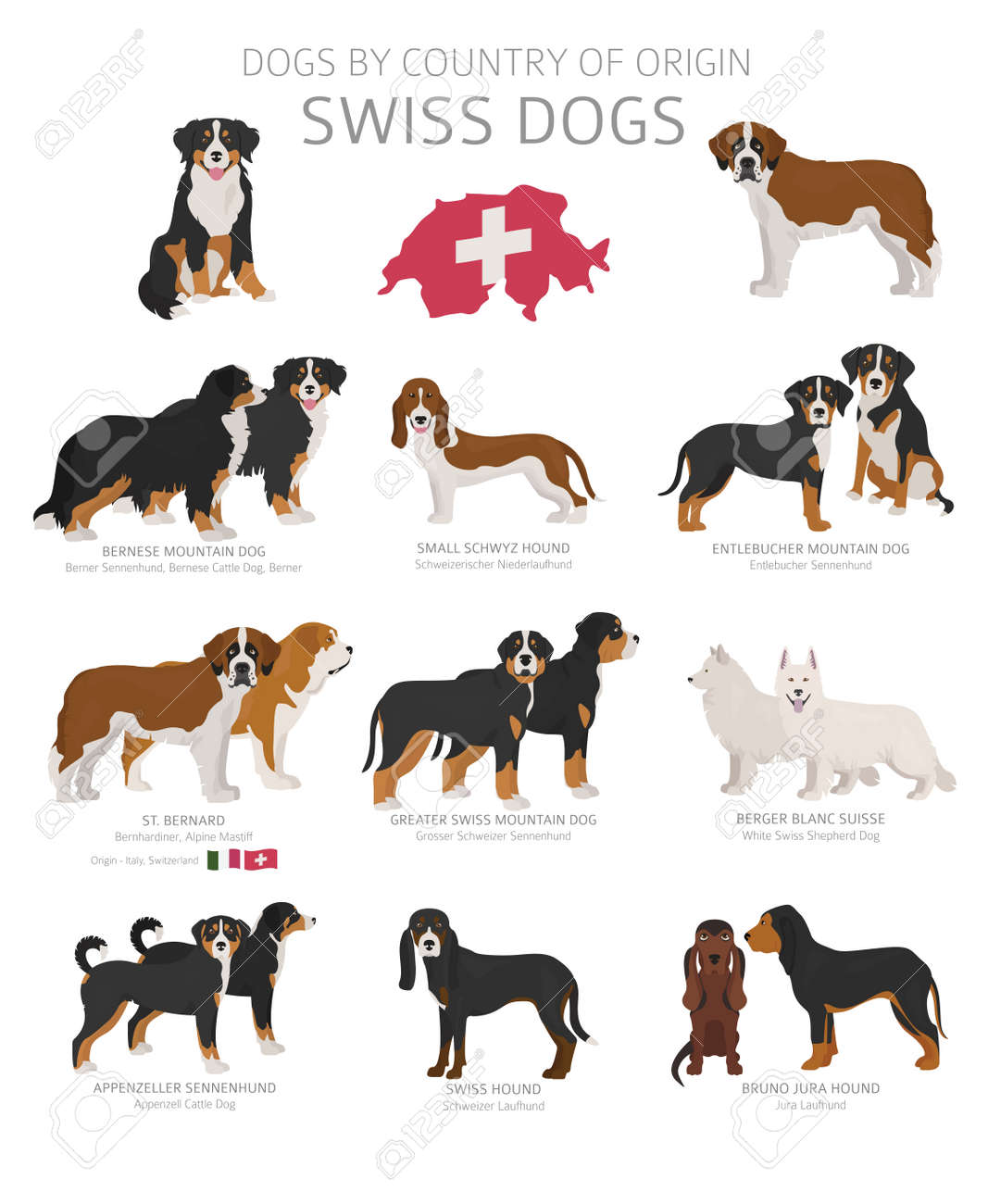 pomsky puppies for sale