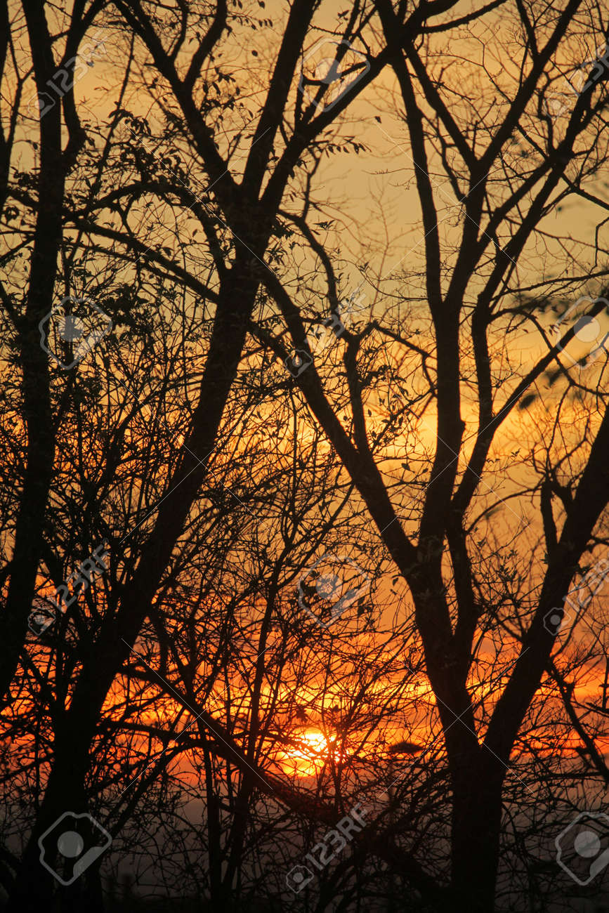 風景画 公園の夕焼け 画家志望作 風景画 公園の夕焼け 画家志望作 風景画 公園の夕焼け 画家志望作 -