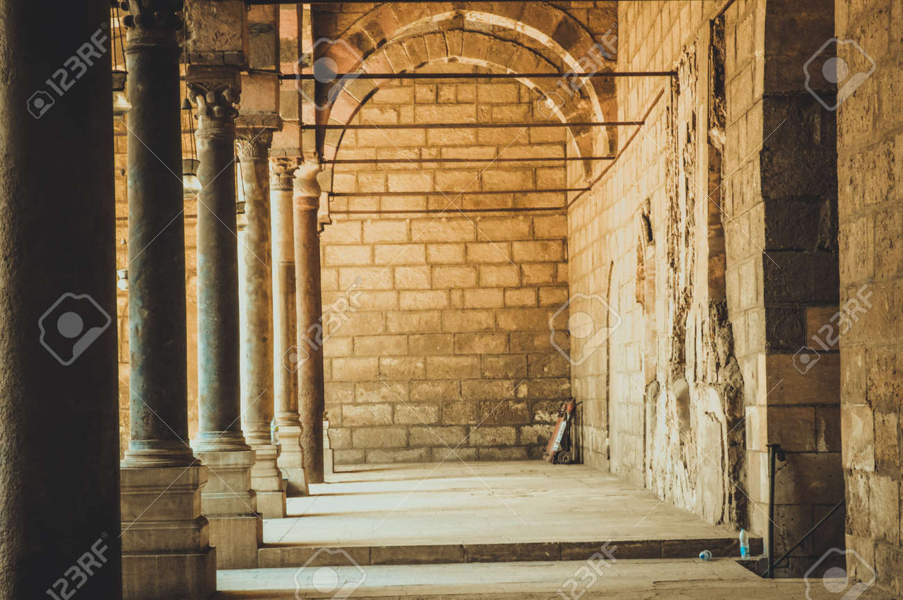 etiam-dictum-ipsum-a-felis