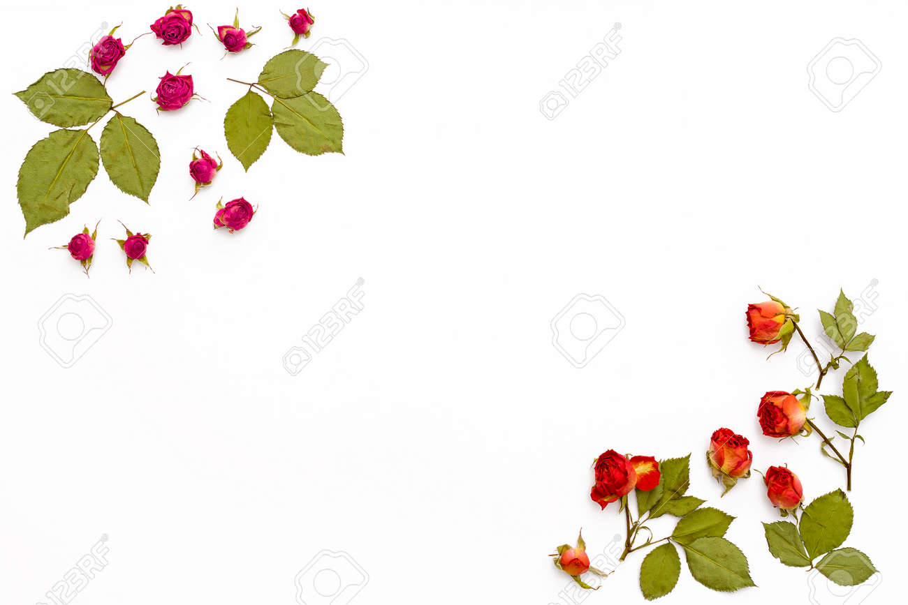 marco de rosas de flores sobre un fondo blanco modelo de flor para