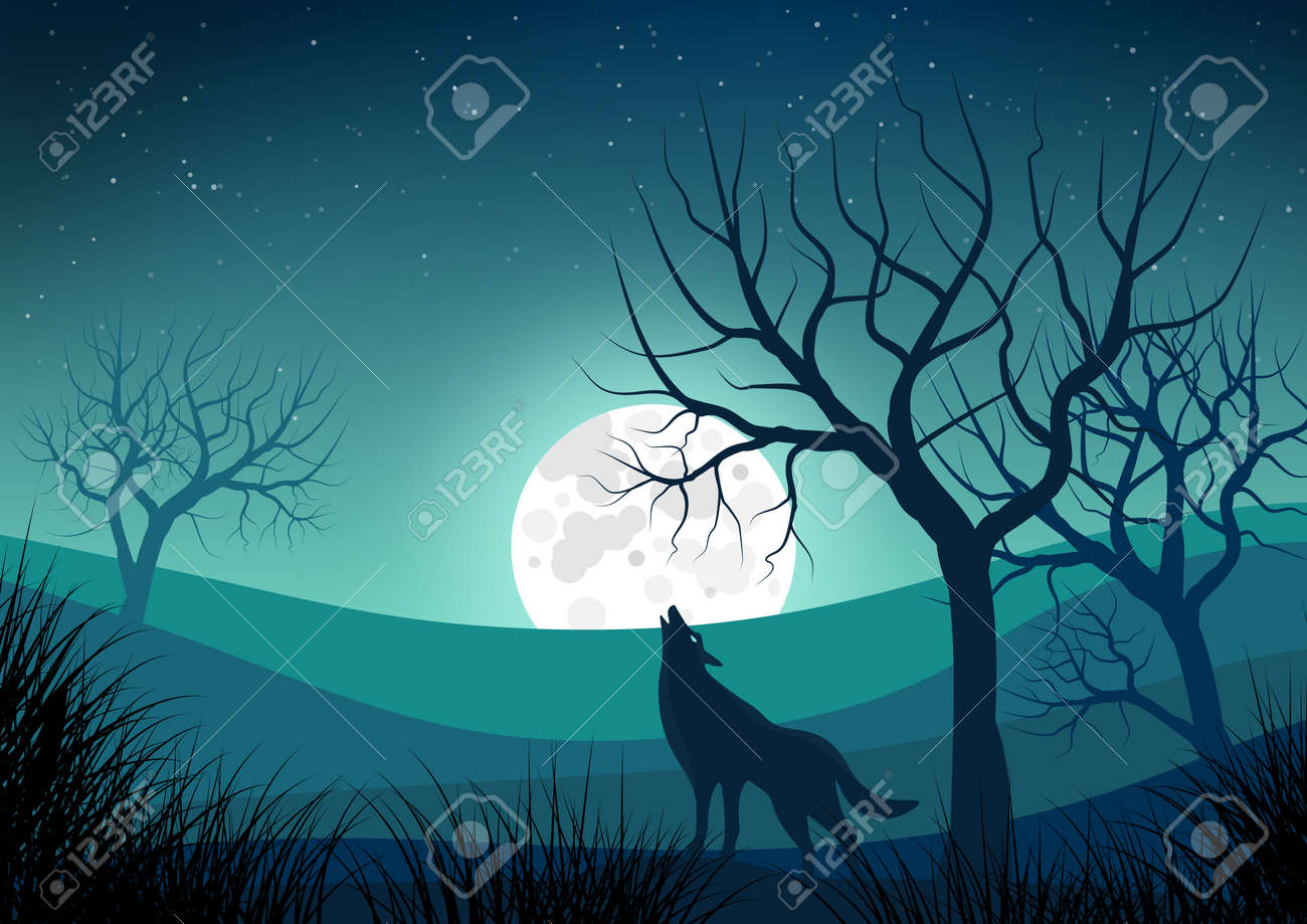 Illustration With Night Landscape With Silhouettes Of Naked Trees Illustration With Night Landscape With Silhouettes Of Naked Trees