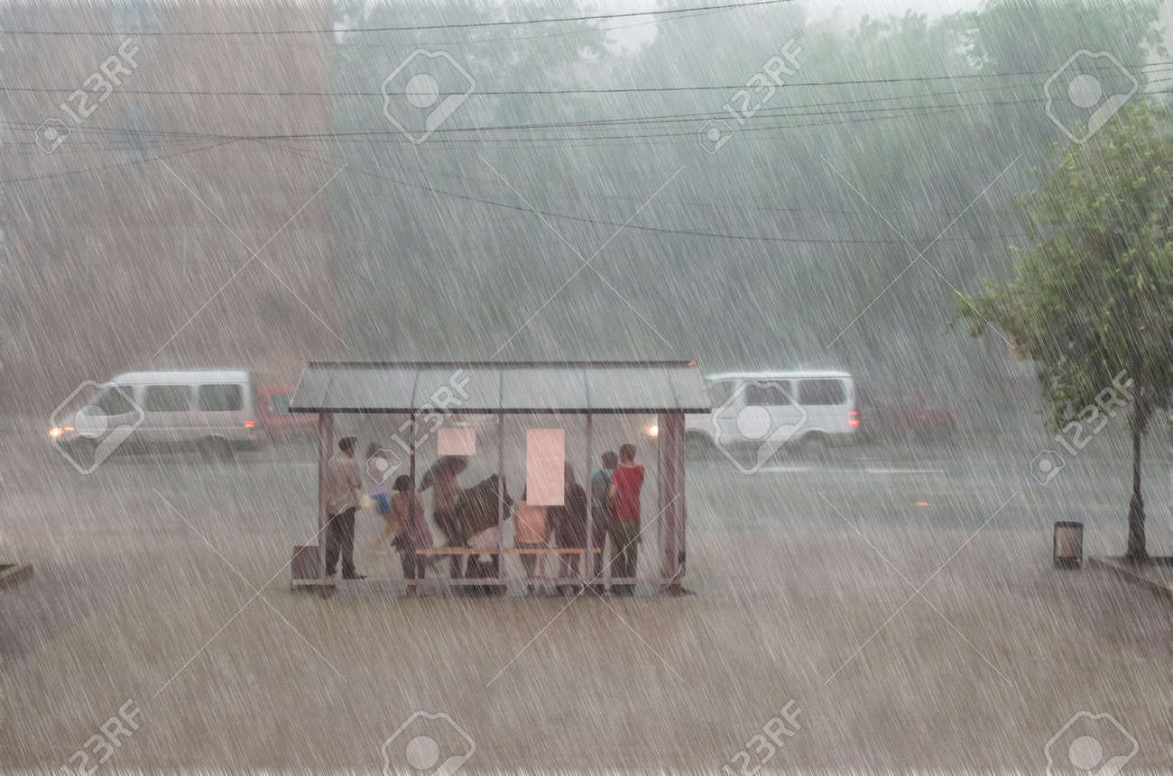 укрытие от дождя. укрытие из пленки. где укрыться от дождя. макросъемка насекомых. шлем с зонтиком.