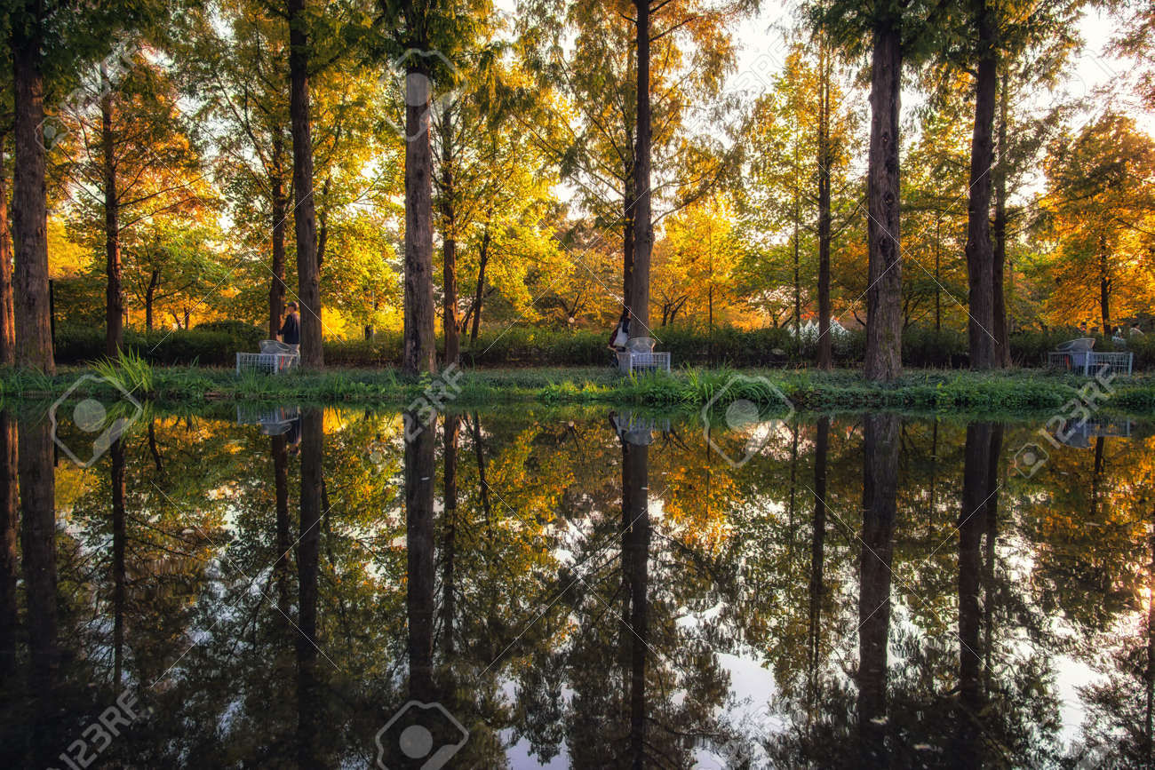 Reflexiones Del Otoño Del Bosque De Seúl En El Agua De La Fuente Abajo. Tomado En Seúl, Corea Del Sur. Fotos, Retratos, Imágenes Y Fotografía De Archivo Libres De Derecho. Image 89090215. Reflexiones Del Otoño Del Bosque De Seúl En El Agua De La Fuente Abajo. Tomado En Seúl, Corea Del Sur. Fotos, Retratos, Imágenes Y Fotografía De Archivo Libres De Derecho. Image 89090215.