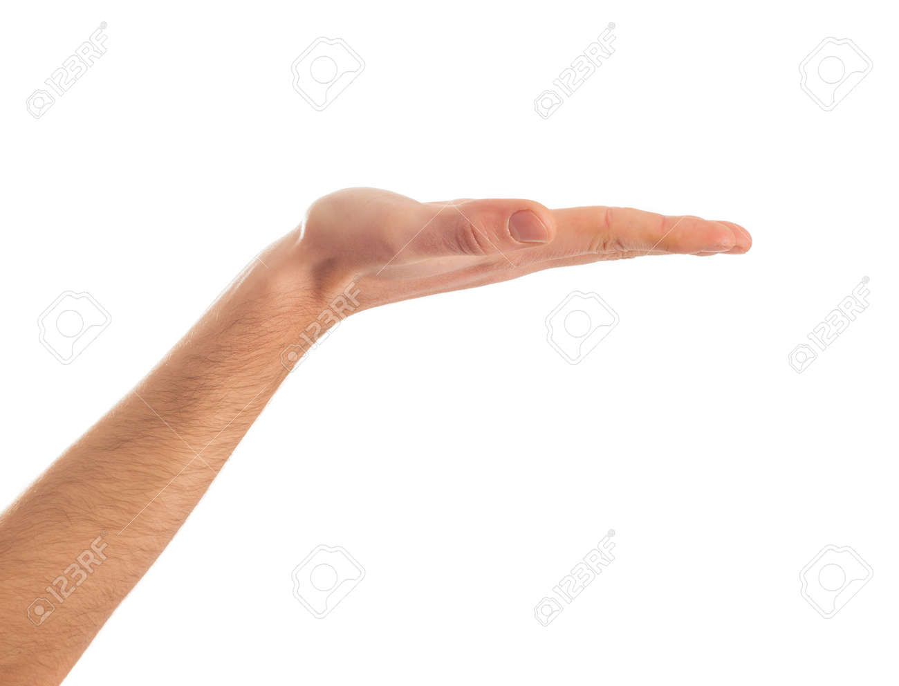 Close-up Of Human Hand Presenting On White Background - 22036448 Close-up Of Human Hand Presenting On White Background - 22036448