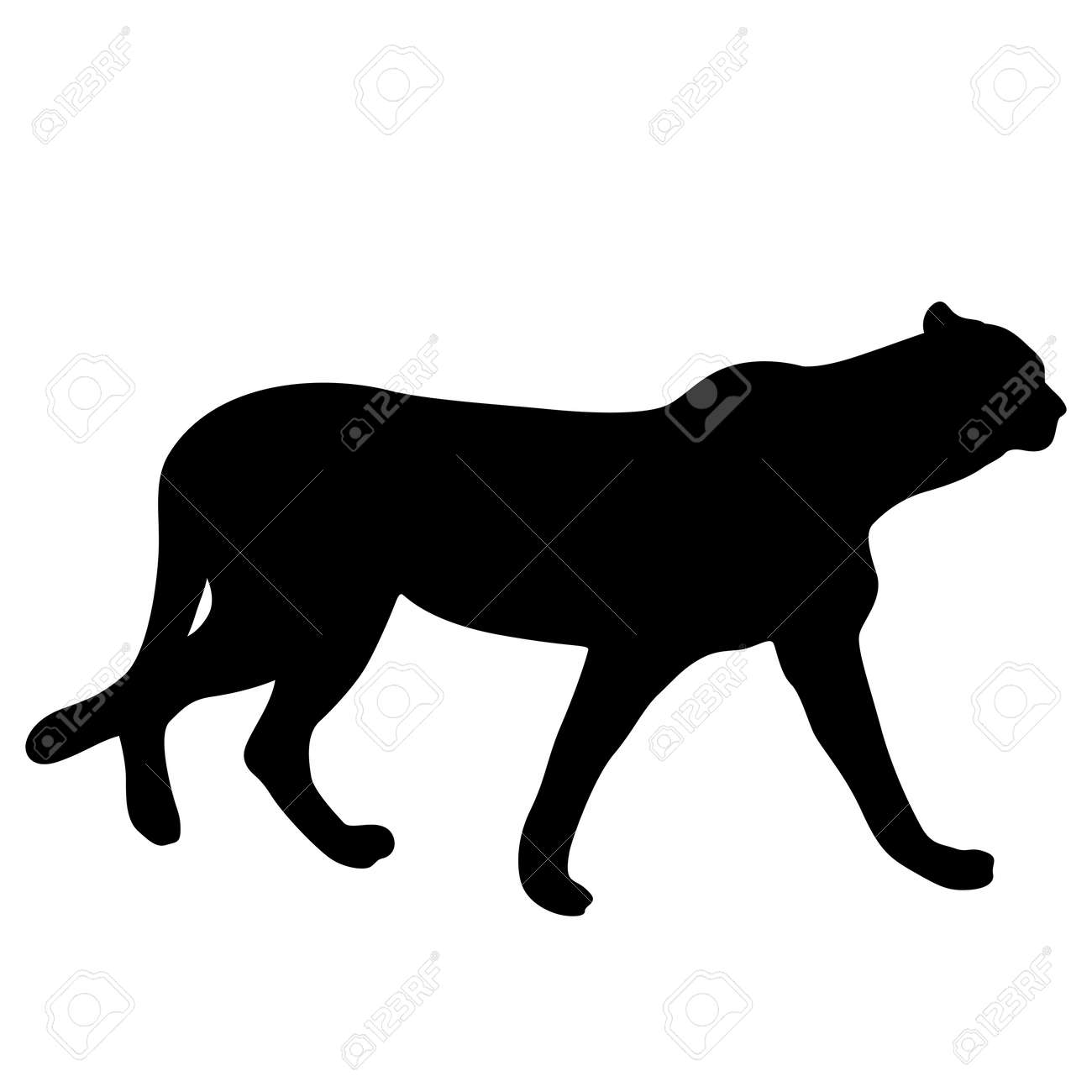 silhouette of the lynx on a white background royalty free cliparts