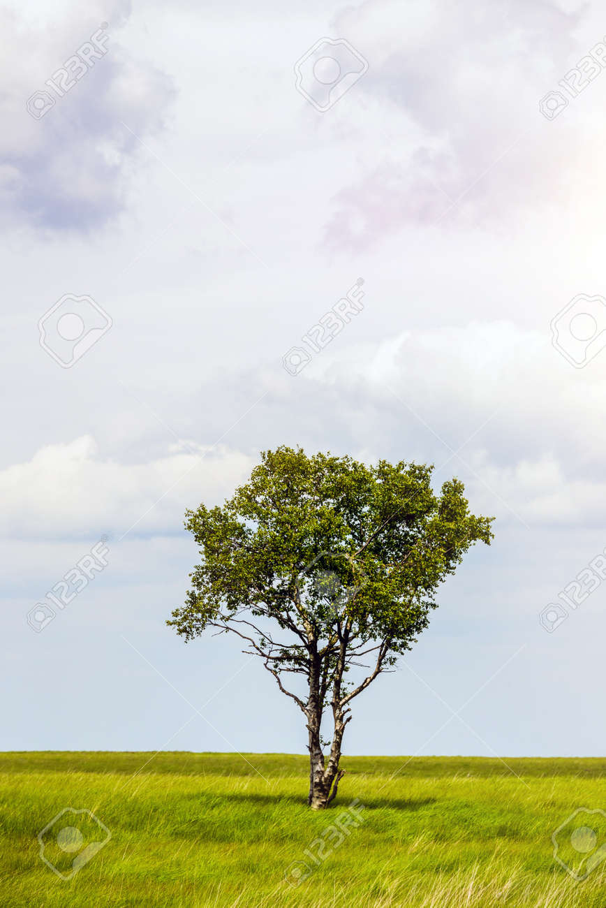 Männer ü40 kennenlernen picture 1