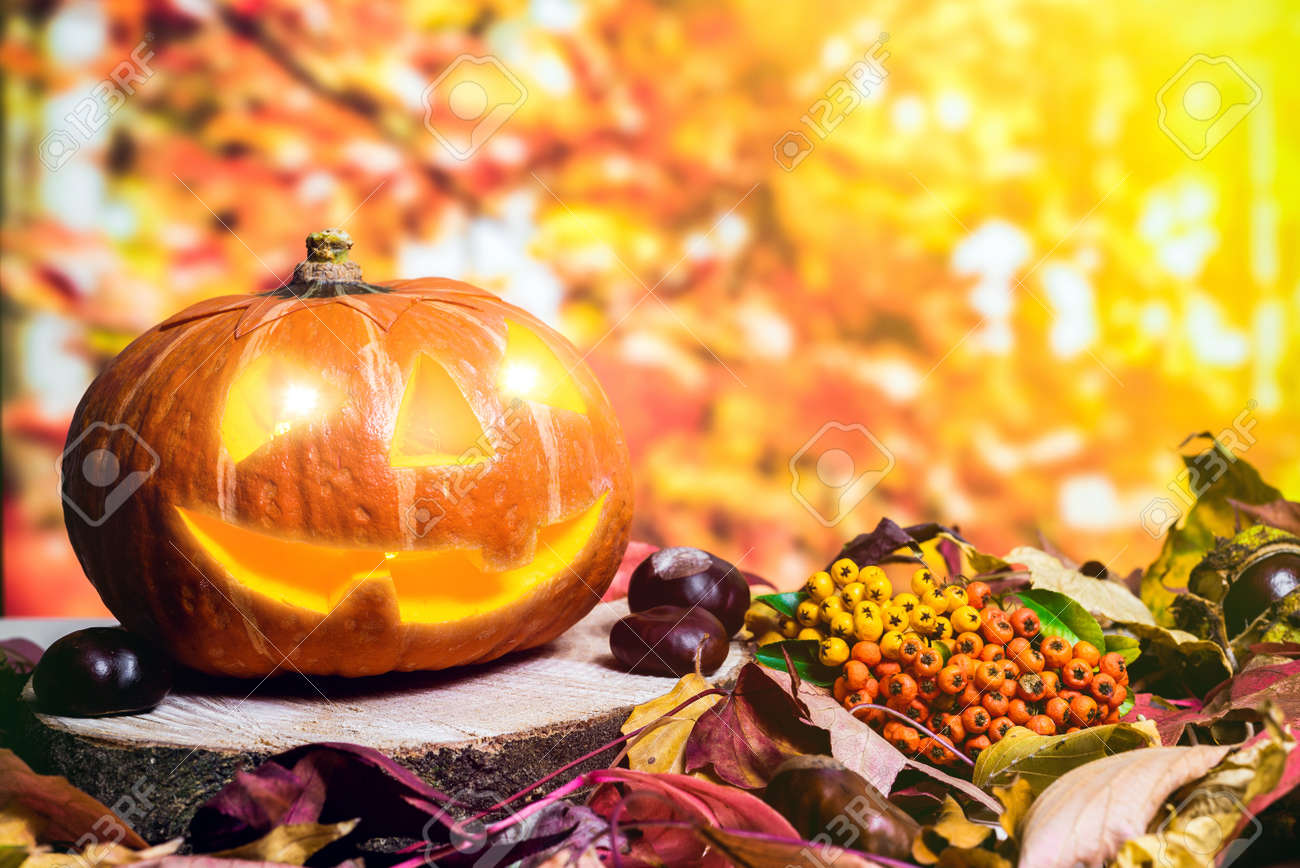 moody scary carved halloween pumpkin with colorful leaves and