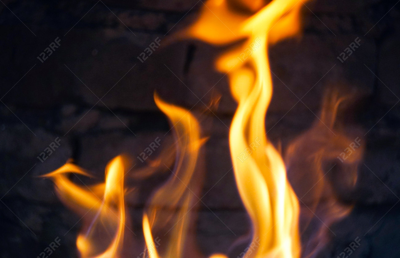 etiam-dictum-ipsum-a-felis