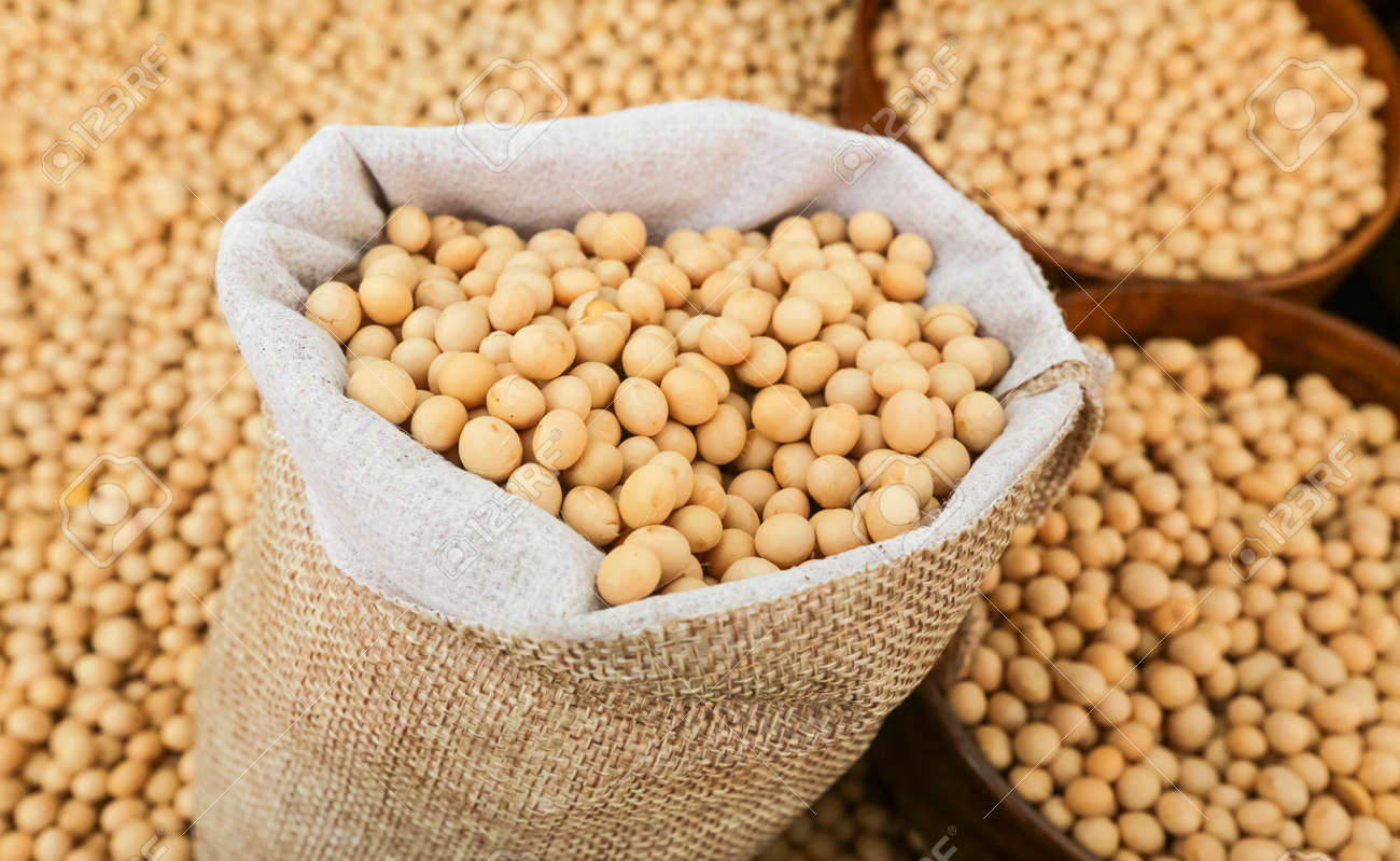 Raw Dried Soybean Or Soya Bean In Wooden Bowl And Sack Bag. Stock Photo,  Picture and Royalty Free Image. Image 130027394.