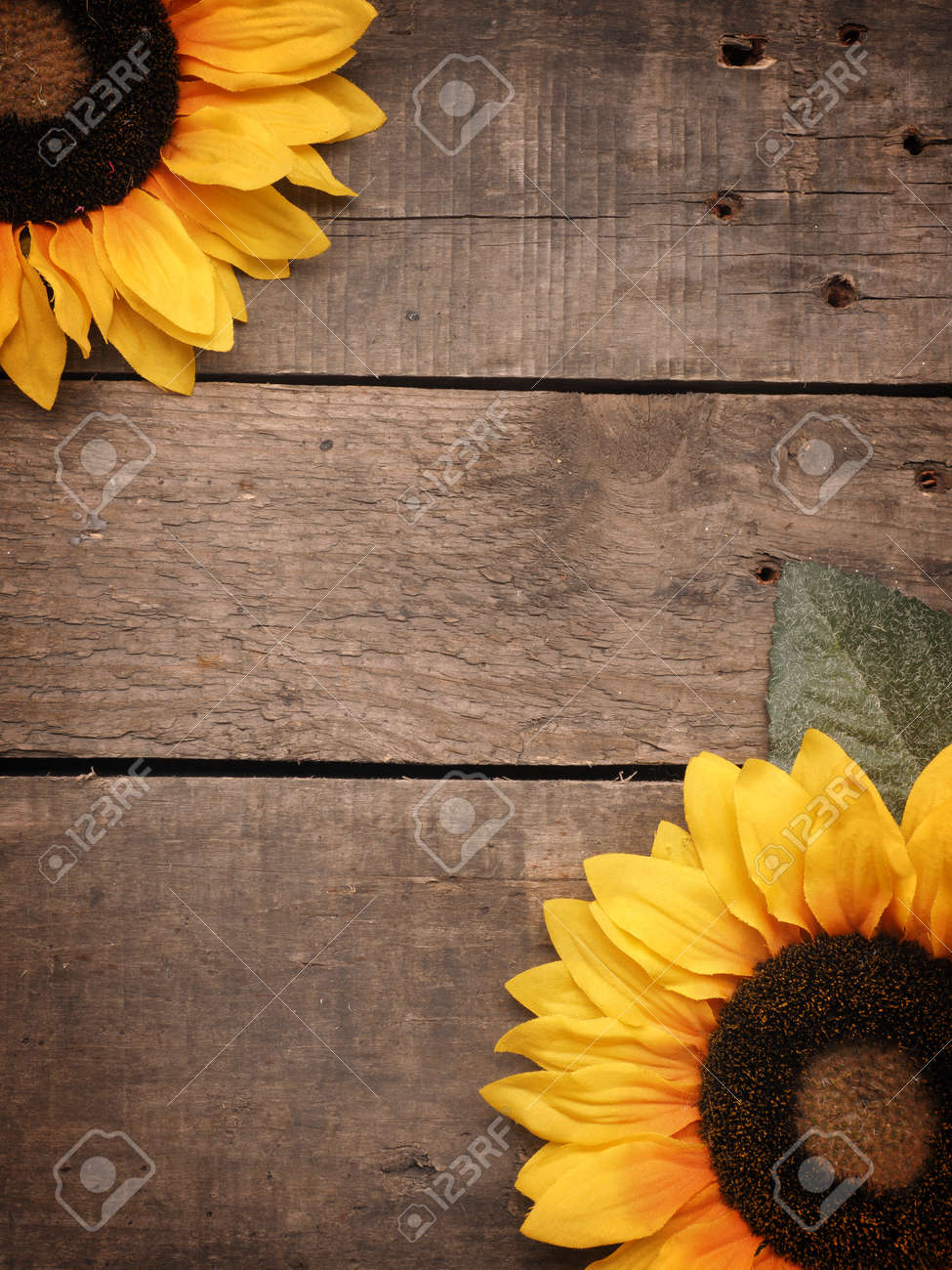 Dois Girassois Ligado Um Rustico Madeira Fundo Com Espaco Para Texto Sazonal Fundo Fotos Retratos Imagenes Y Fotografia De Archivo Libres De Derecho Image 63295802