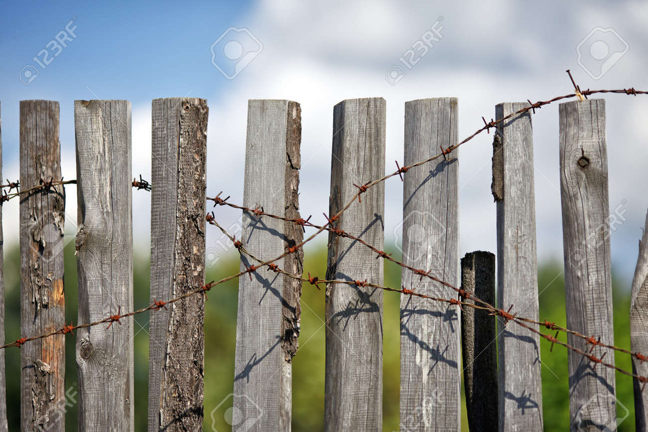 Old Barbed Wire Fence Old Barbed Wire Fence
