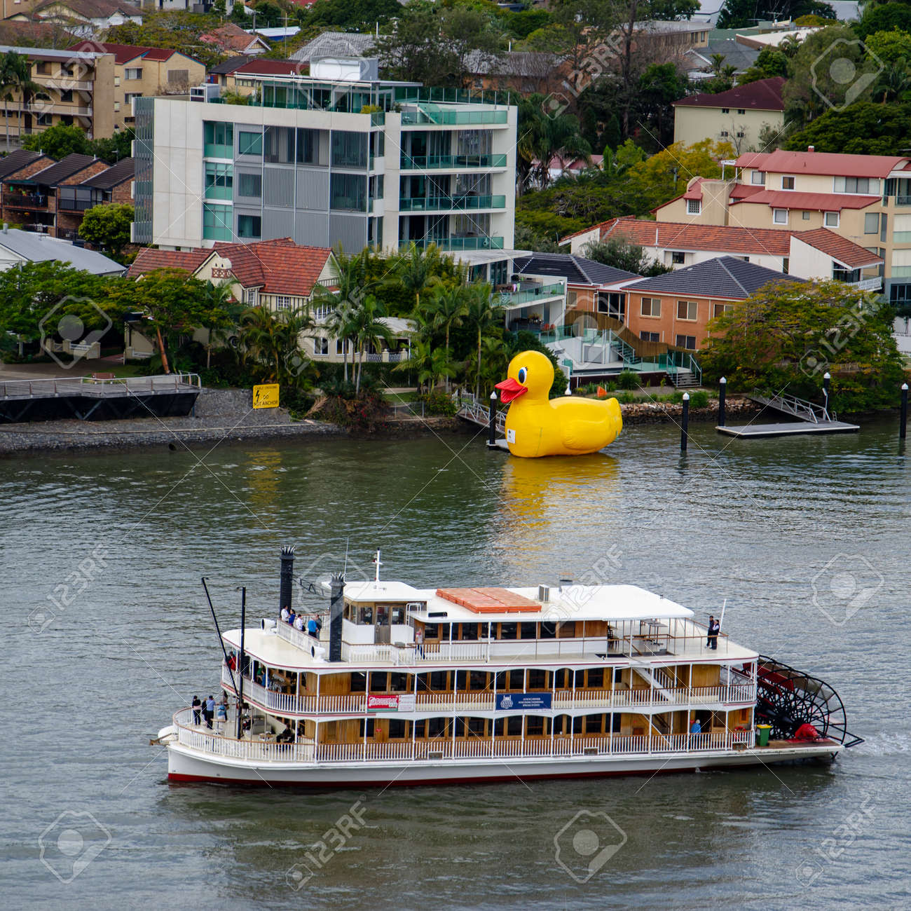 rubber duck paddle boat
