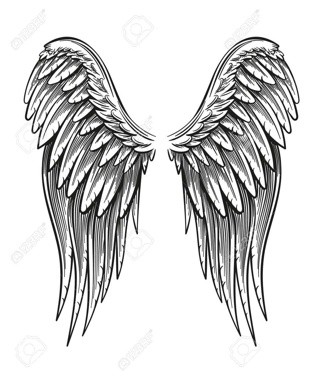 平凡な背景に隔離された手描きの翼 のイラスト素材 ベクタ Image