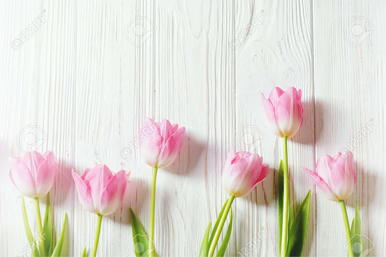 Pink Tulip Flowers On White Wooden Vintage Background With Copy Space.  Stock Photo, Picture and Royalty Free Image. Image 136505362., image size:1300x867