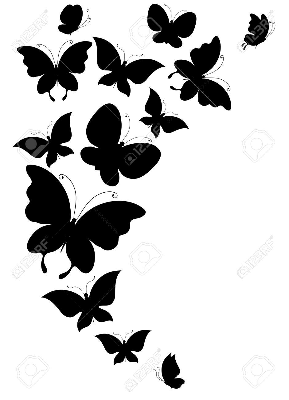 butterfly butterflies vector royalty free cliparts vectors and butterfly vector free