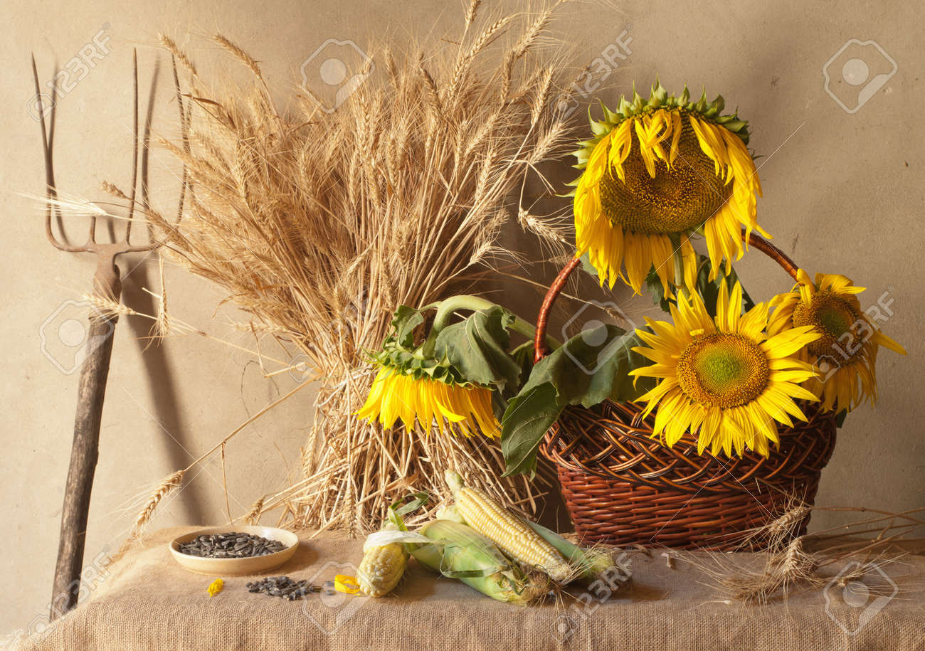 トウモロコシのある静物