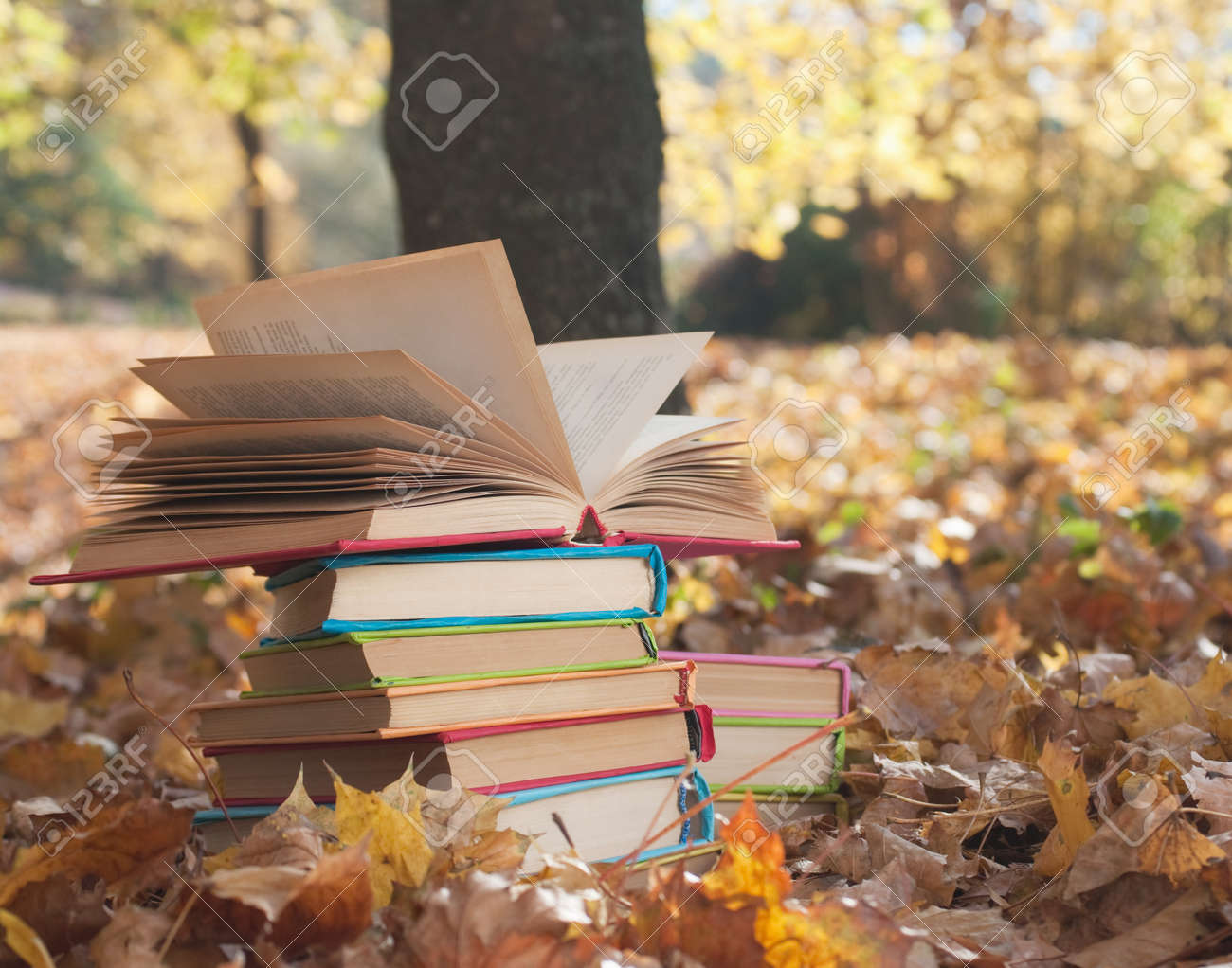 Autumn Book Stack
