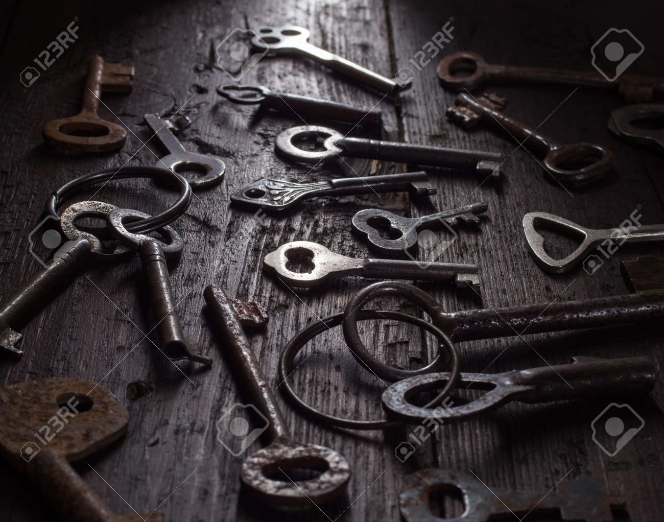 etiam-dictum-ipsum-a-felis