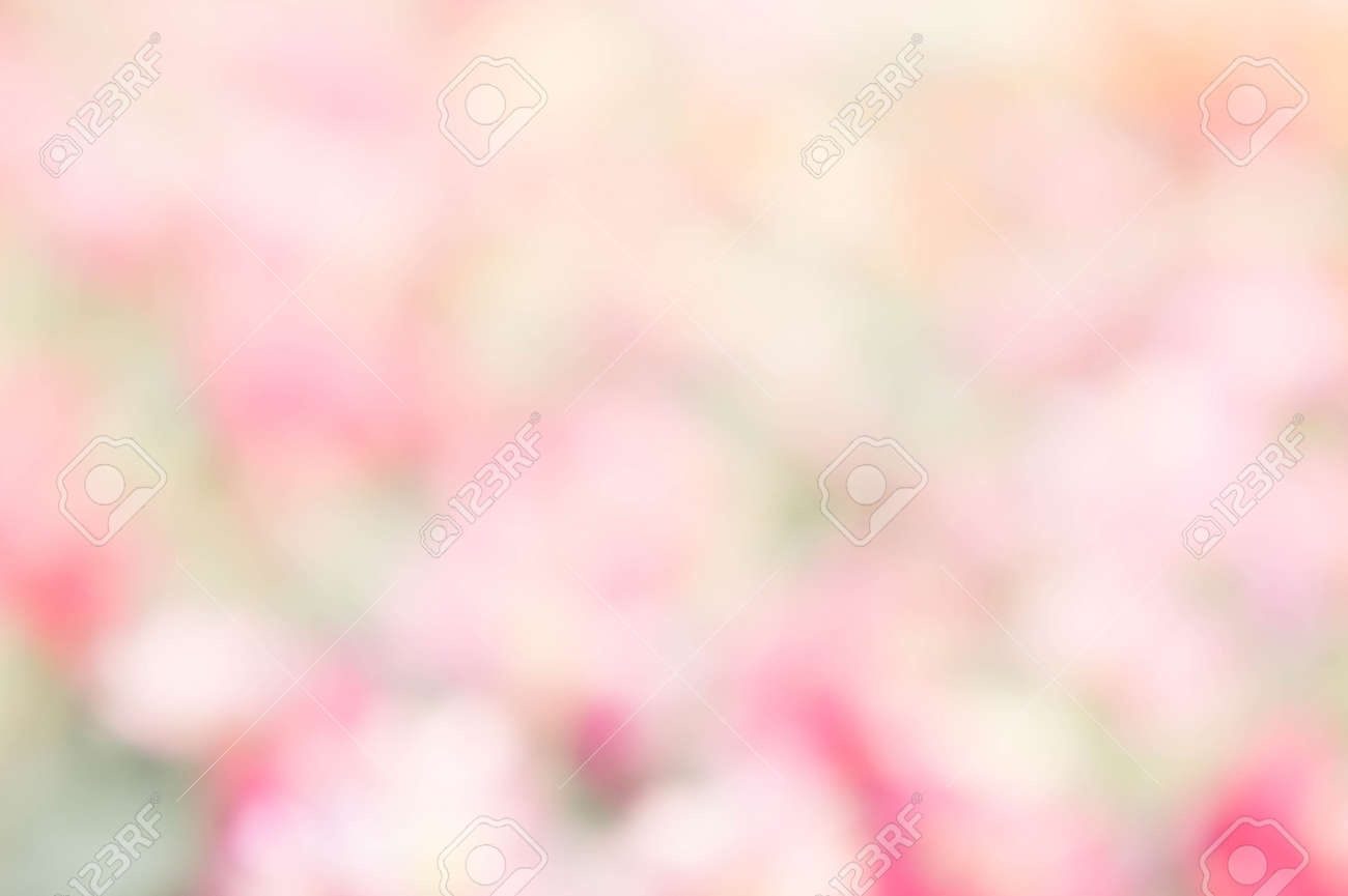 abstract nature colorful blur background color pink green yellow pink and green background