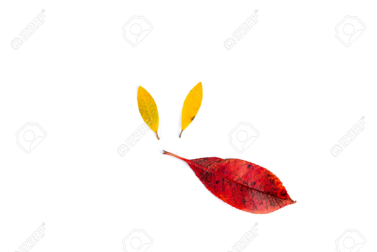Leaf Animals Clip Art, DIY, Dry Leaves Figurine Isolated On White, Step 1 Of Project For Kids Stock Photo, Picture And Royalty Free Image. Image 168992592. Leaf Animals Clip Art, DIY, Dry Leaves Figurine Isolated On White, Step 1 Of Project For Kids Stock Photo, Picture And Royalty Free Image. Image 168992592.