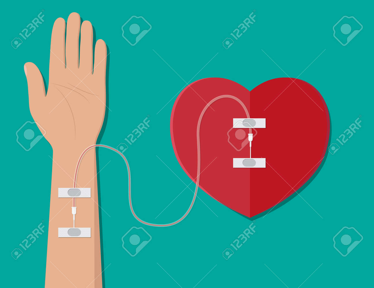 hand of donor with