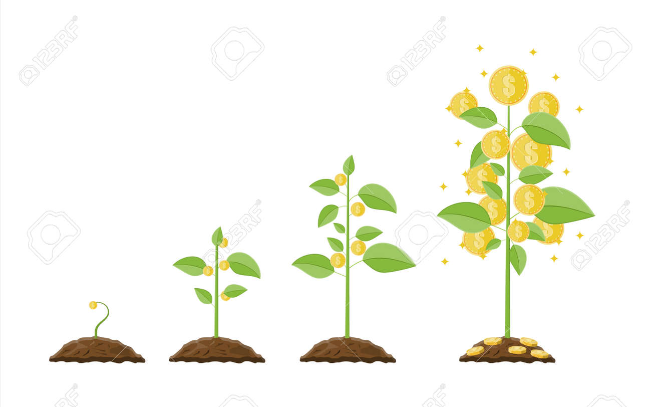 Growing Money Tree. Stages Of Growing. Royalty Free SVG, Cliparts ...