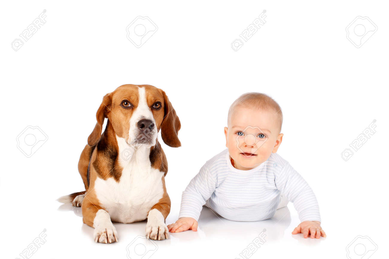 Cute Baby With Beagle Dog Isolated On White Stock Photo Picture And Royalty Free Image Image
