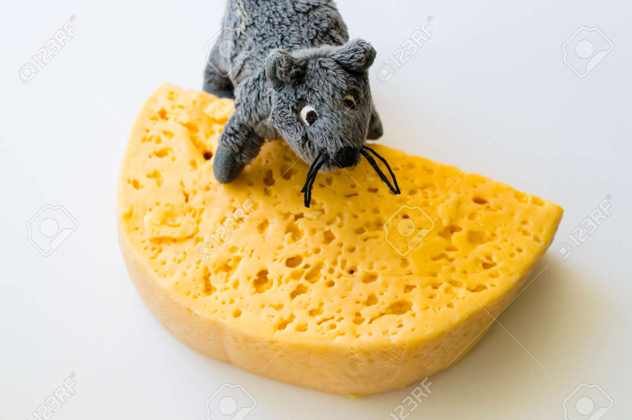 The Most Tasty Cheese And The Most Cunning Mouse Stock Photo, Picture And Royalty Free Image. Image 29203977. The Most Tasty Cheese And The Most Cunning Mouse Stock Photo, Picture And Royalty Free Image. Image 29203977.