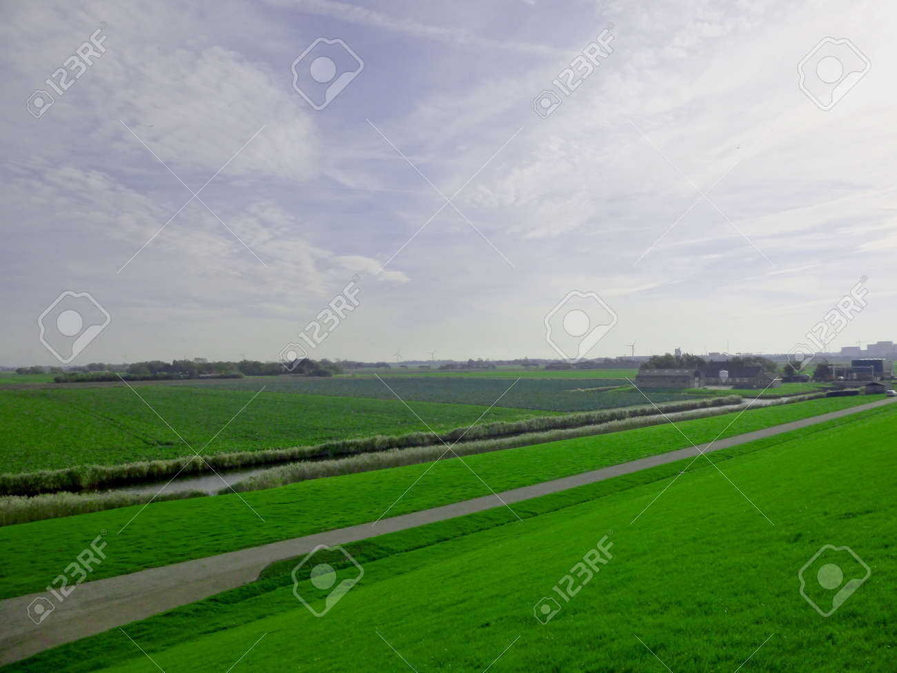 etiam-dictum-ipsum-a-felis