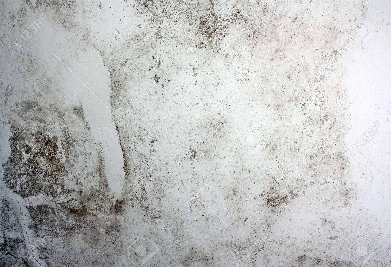 Dangerous Toxic Fungus Mold On The Ceiling In The Room Stock Photo