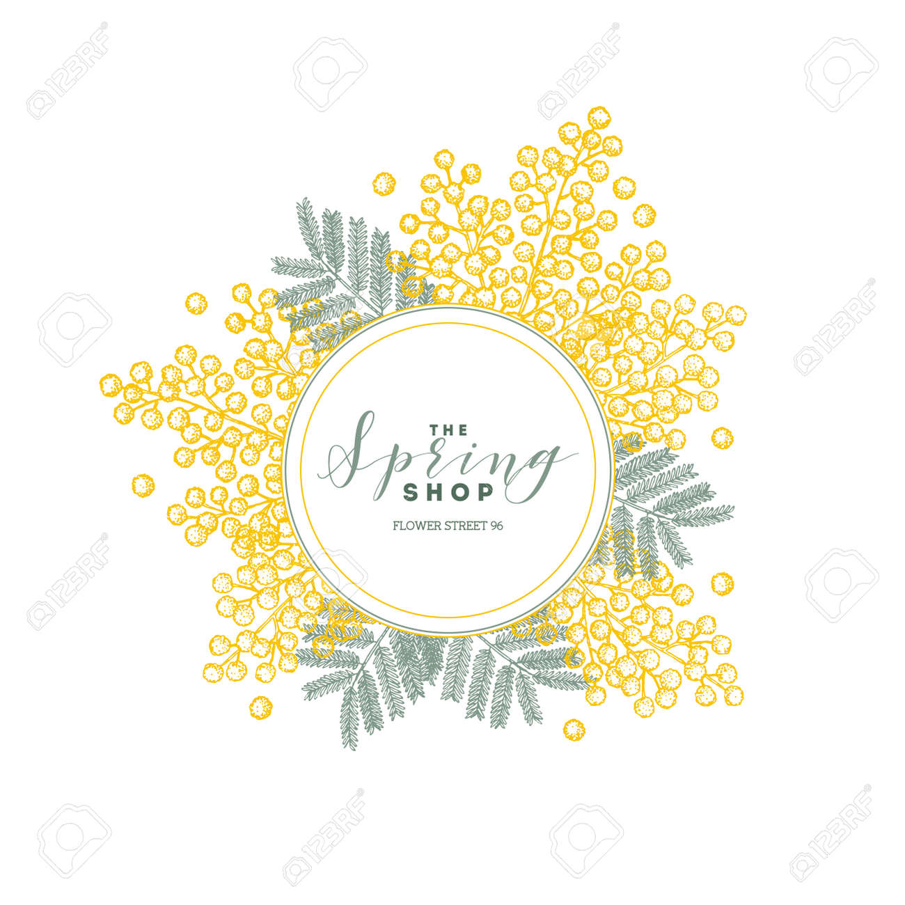 floral design template vintage mimosa greeting card vector mimosa design