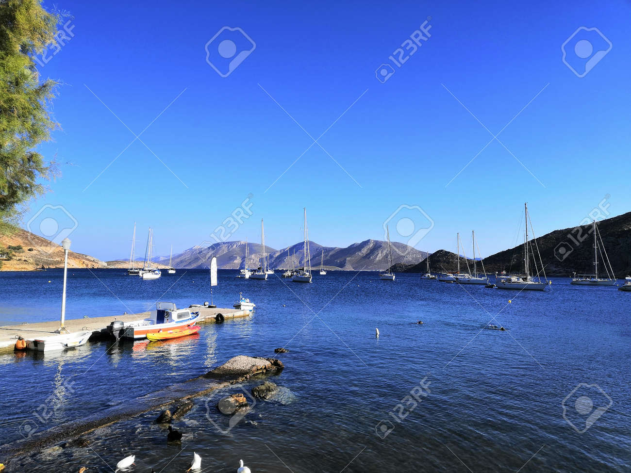 etiam-dictum-ipsum-a-felis