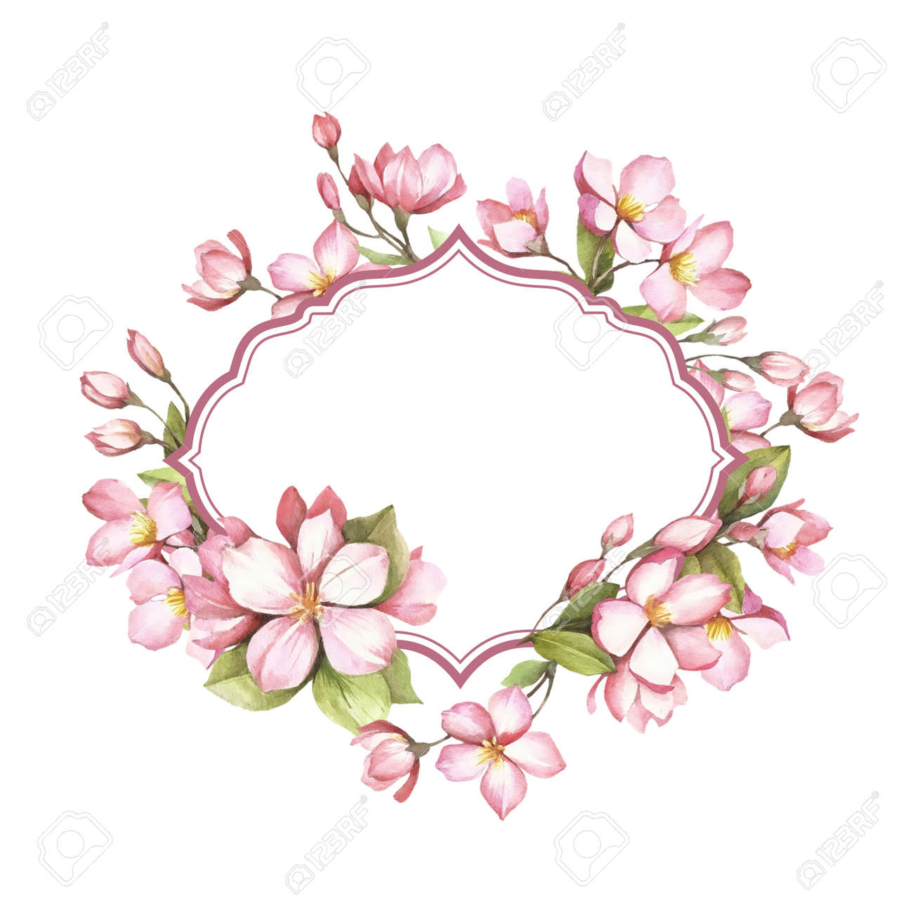 frame with the cherry blossoms hand draw watercolor illustration