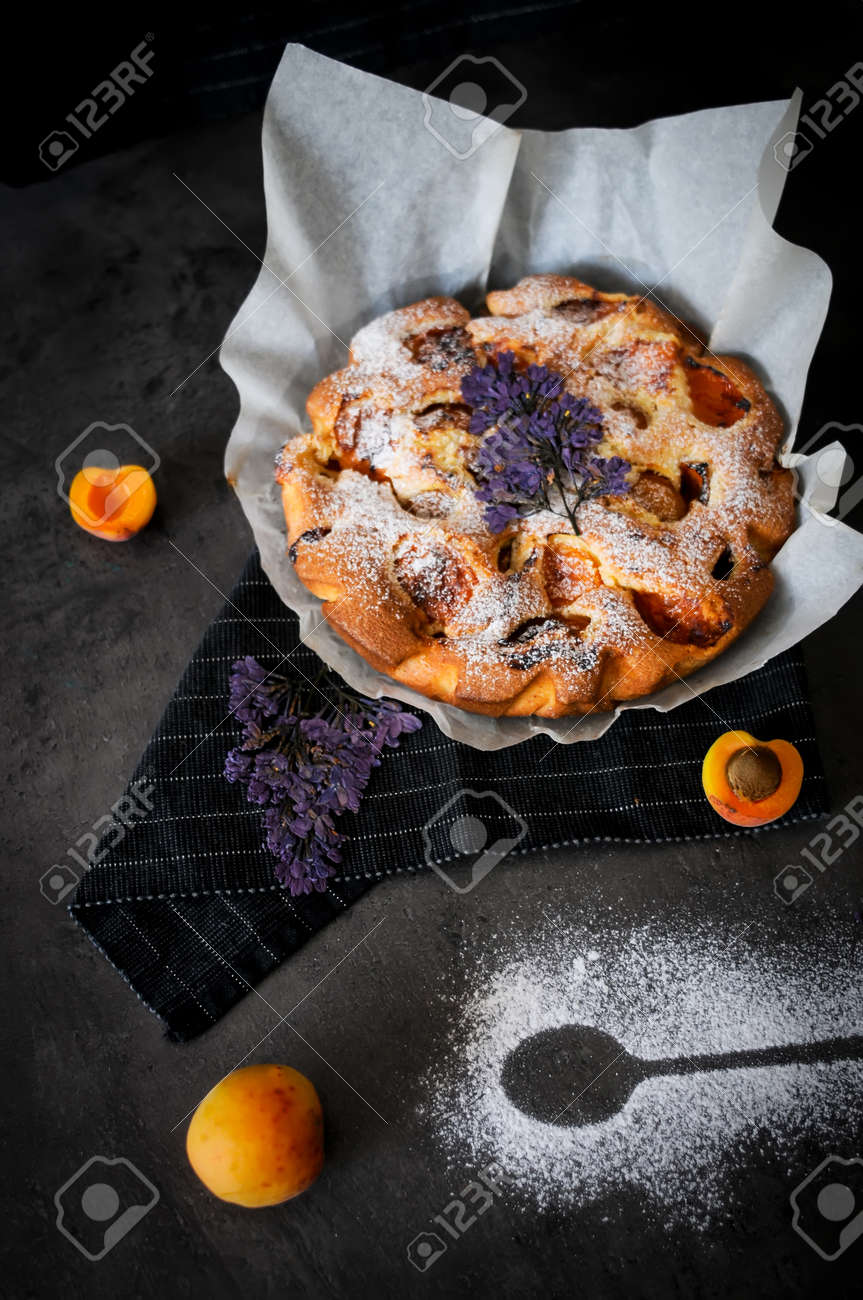 etiam-dictum-ipsum-a-felis