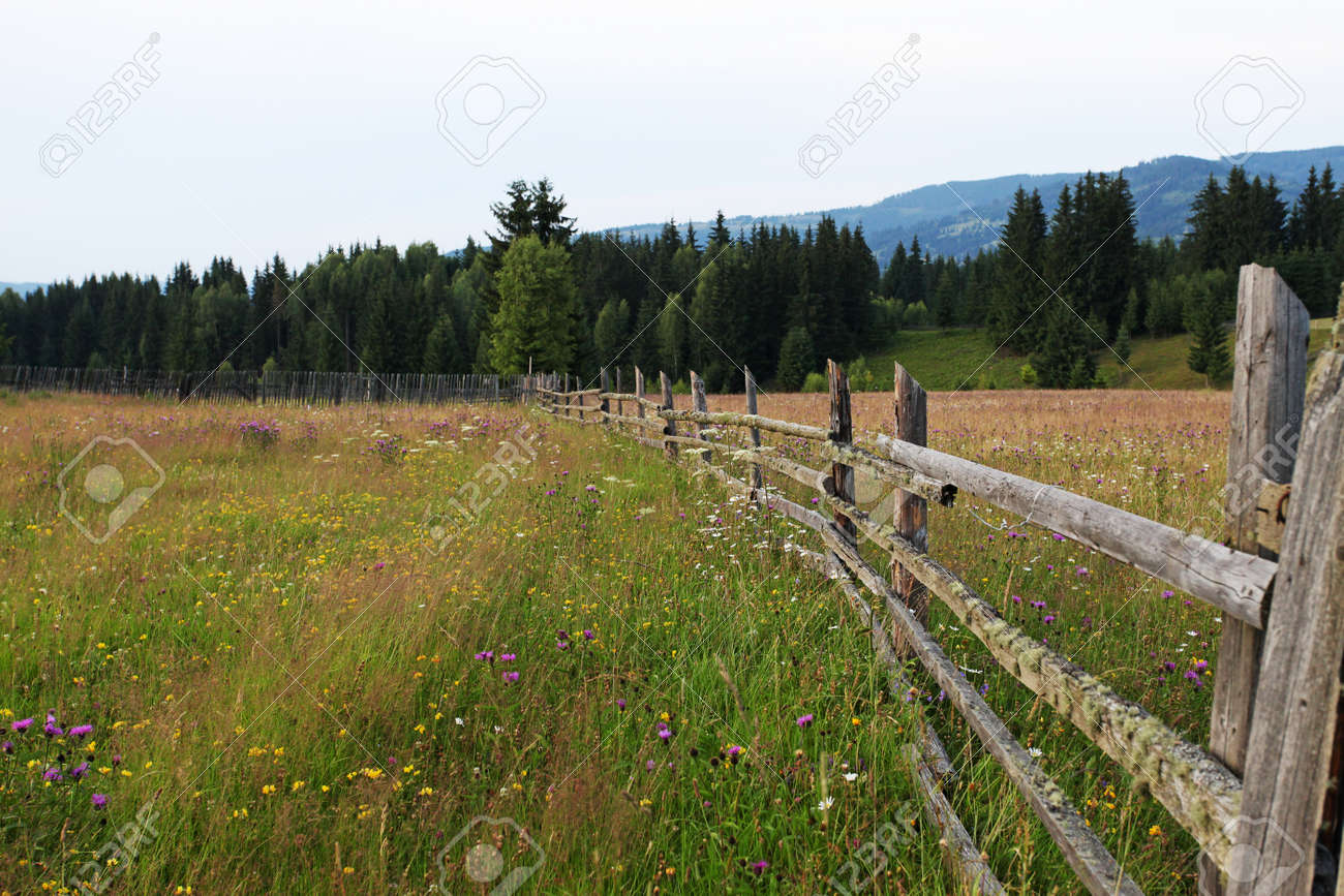 countryside fence nature landscape stock photo picture and royalty