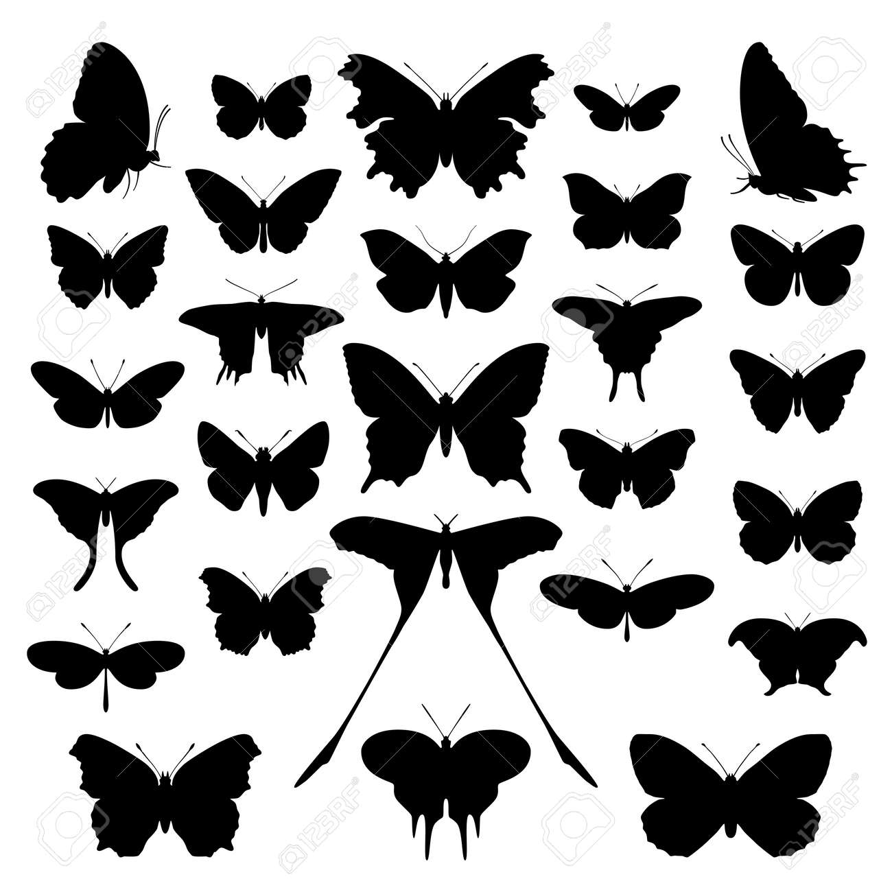 Download Butterfly Silhouette Set Butterflies Icon Collection Background Royalty Free Cliparts Vectors And Stock Illustration Image 15835496