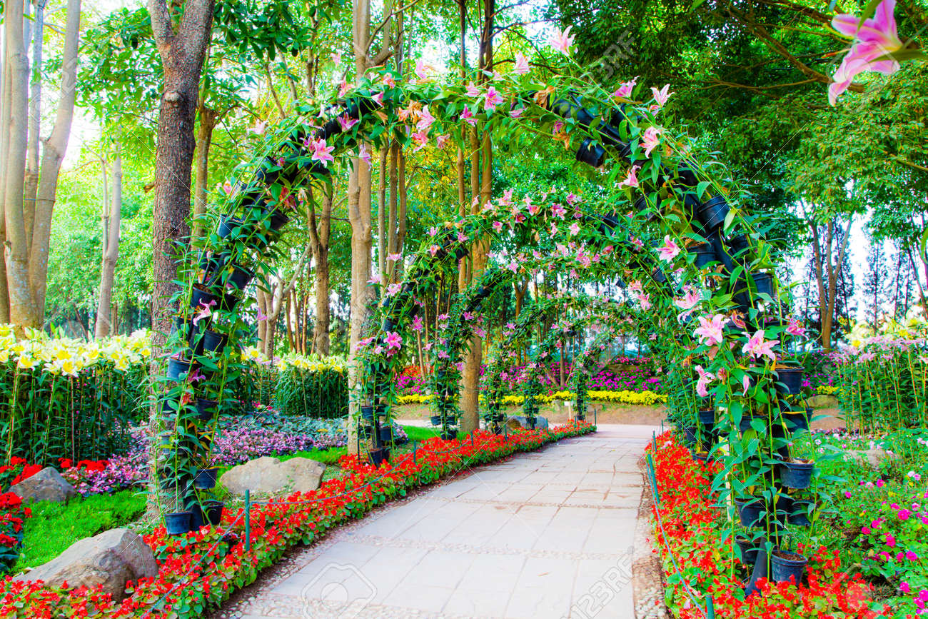 美しい花の観賞植物庭の通路のアーチします の写真素材 画像素材 Image 38729940