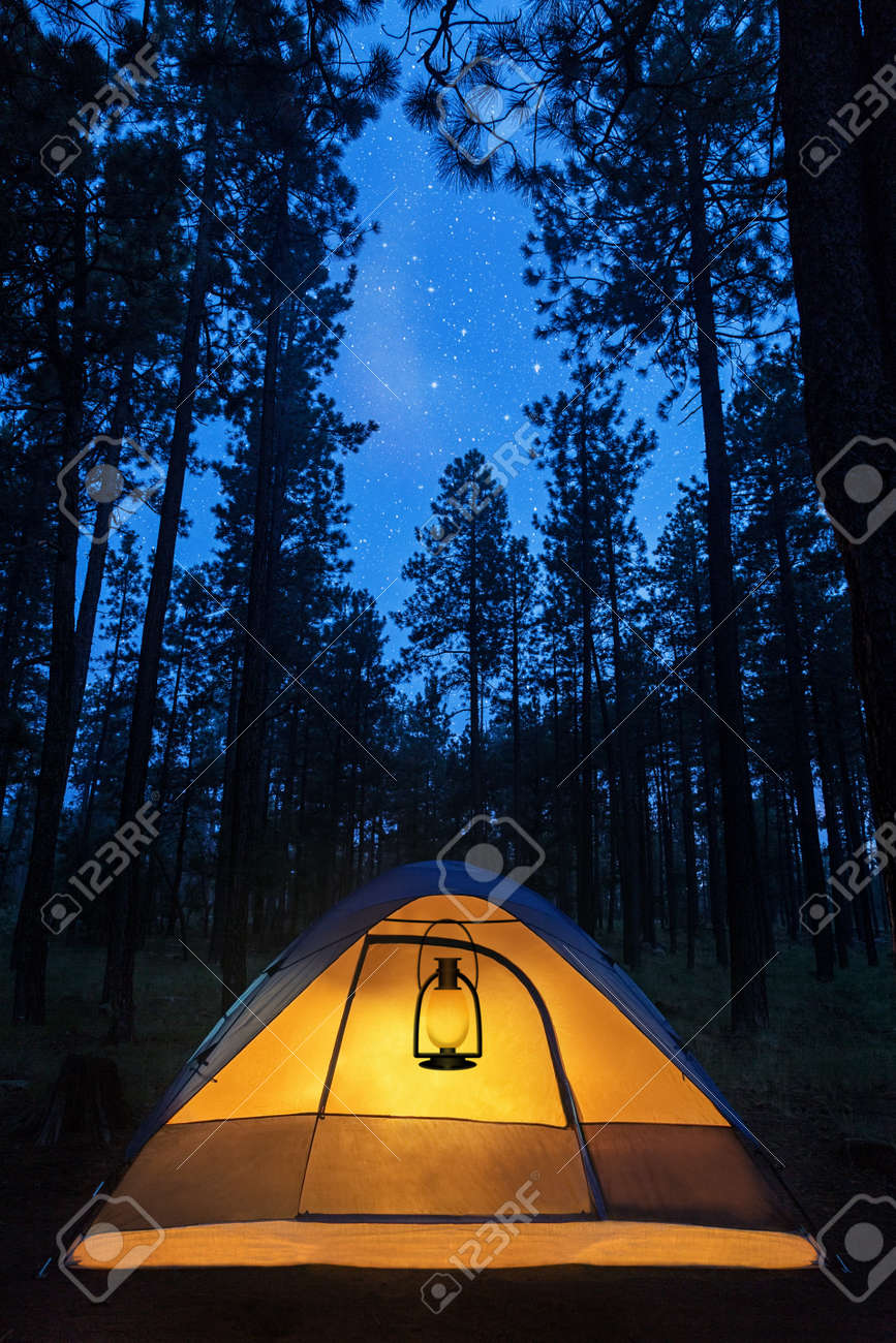 Camping Tent In The Forest Illuminated By A Lantern At Night Under The  Stars Stock Photo, Picture and Royalty Free Image. Image 61751428., image size:867x1300