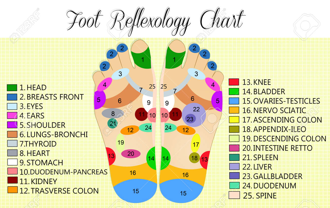 foot reflexology chart stock photo picture and royalty free image reflexology charts free